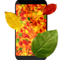 3D紅葉