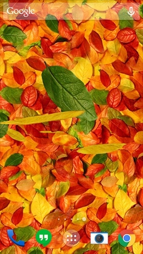 3D紅葉