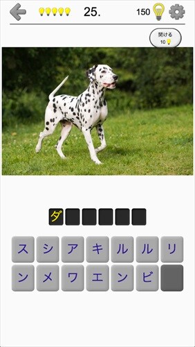 犬 - すべての一般的な犬の品種に関するクイズ