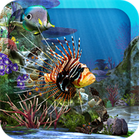 3D Aquarium Live Wallpaper HD