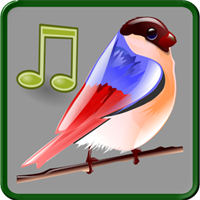 鳥の音