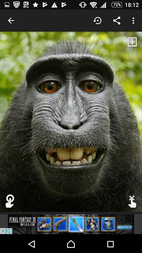 Jellify: Living Photos & Funny Effects