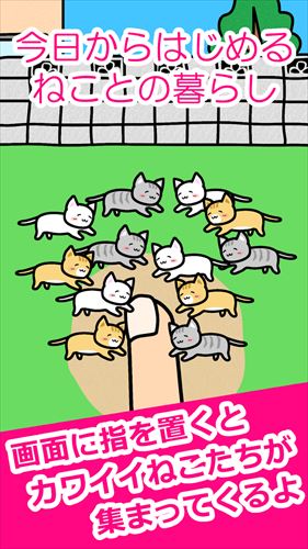 ねことあそぶ - 癒しのにゃんこ育成ゲーム