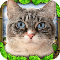 Stray Cat Simulator