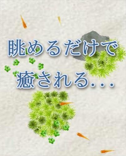 メダカ育成ゲーム アクアリウムシリーズ