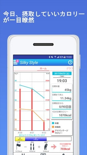 ダイエット-シルスタ 1日のカロリーを見て無理なく体重管理