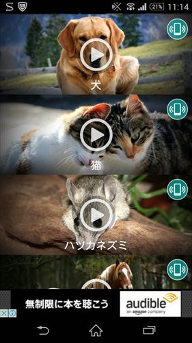 動物:着メロ