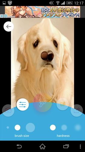 Photo Warp