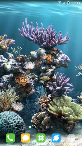 アンダーウォーターワールド水族館