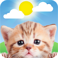 お天気ネコ (Weather Kitty)