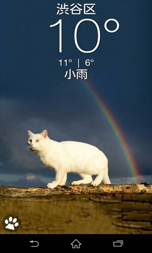 お天気ネコ (Weather Kitty)