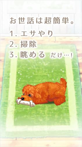 癒しの子犬育成ゲーム〜トイプードル編〜