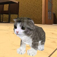 子猫猫シミュレータ3D