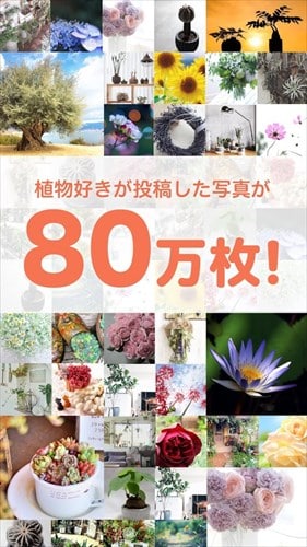 GreenSnap - 植物・花の名前が判る写真共有アプリ