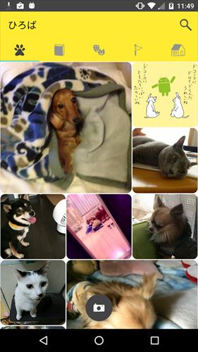 ドコノコ - いぬねこ写真アプリ