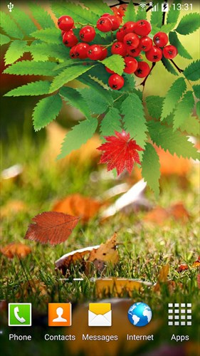 Autumn Live Wallpaper