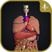 teamLabBody-Internal Organs-