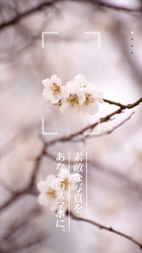 壁紙HD (Backgrounds HD)