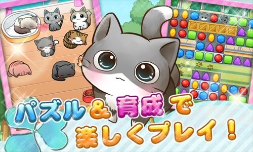 ねこ育成ゲーム - キャットライフ
