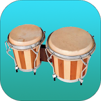 Congas & Bongos