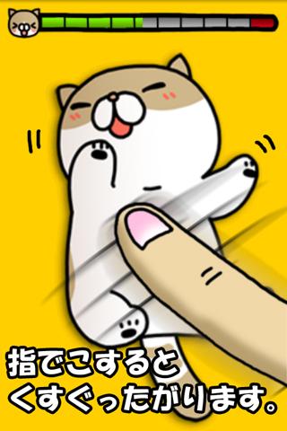 こちょねこ