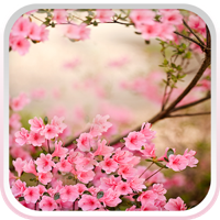 春の花ライブ壁紙
