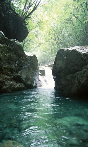 森の中の渓流