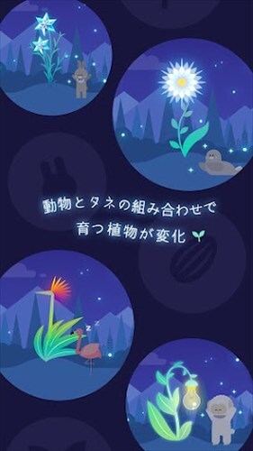 ヨルノモリ-癒やしの植物育成ゲーム-