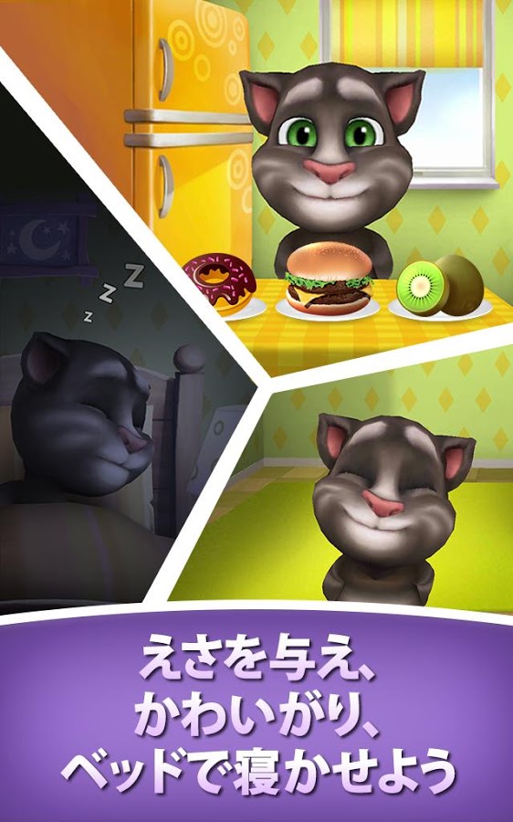 私だけのおしゃべり猫トム - My Talking Tom