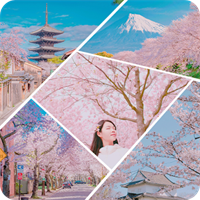 FotoRus - フォトコラージュエディタ