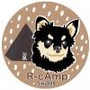 R-cAmp